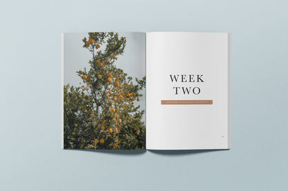 I Am Journal: A Forty Day Journey of Truth and Identity